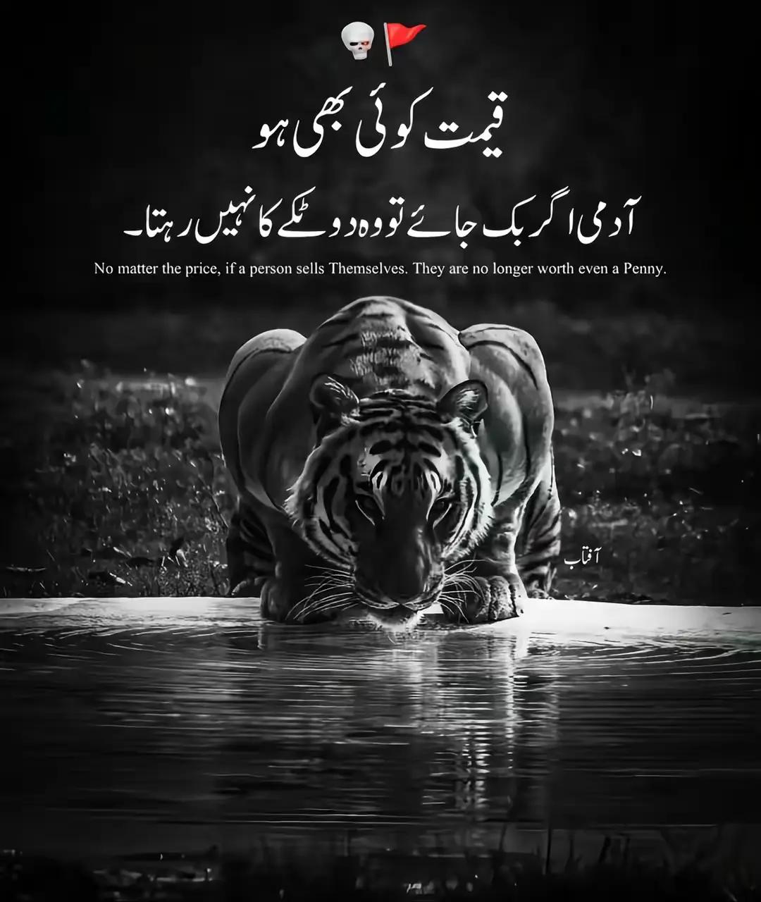 @👑احسان صیریق,👑