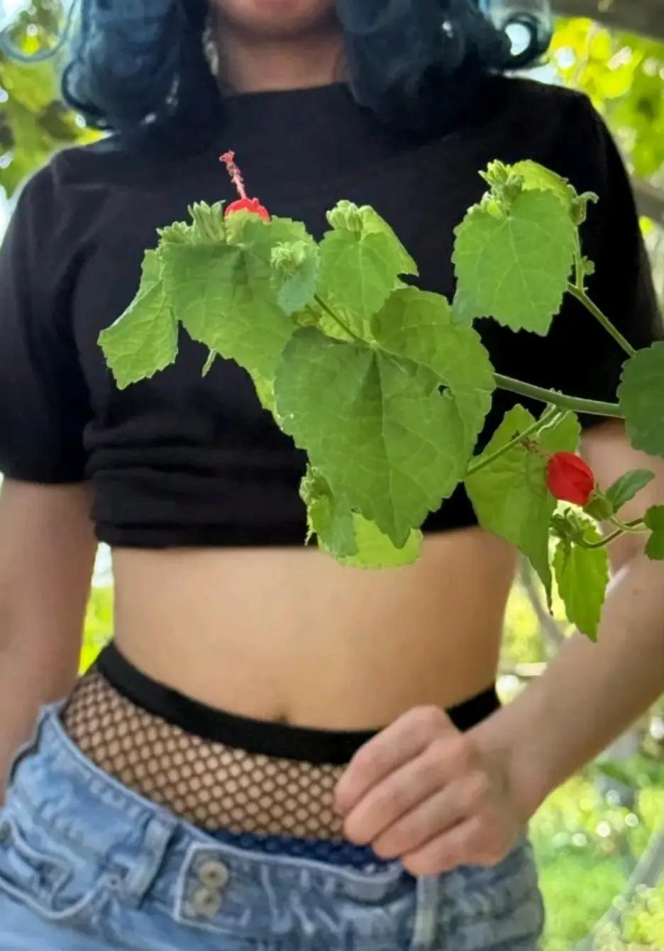 @Horrorkittyzz