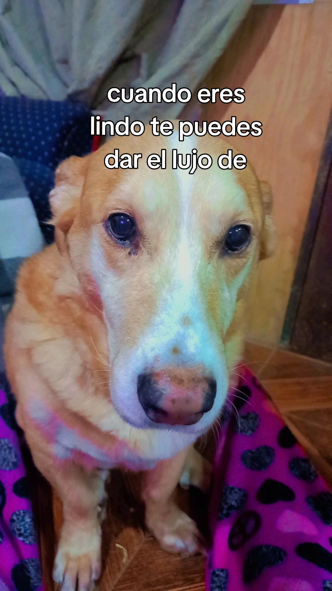 @Javi 🫧