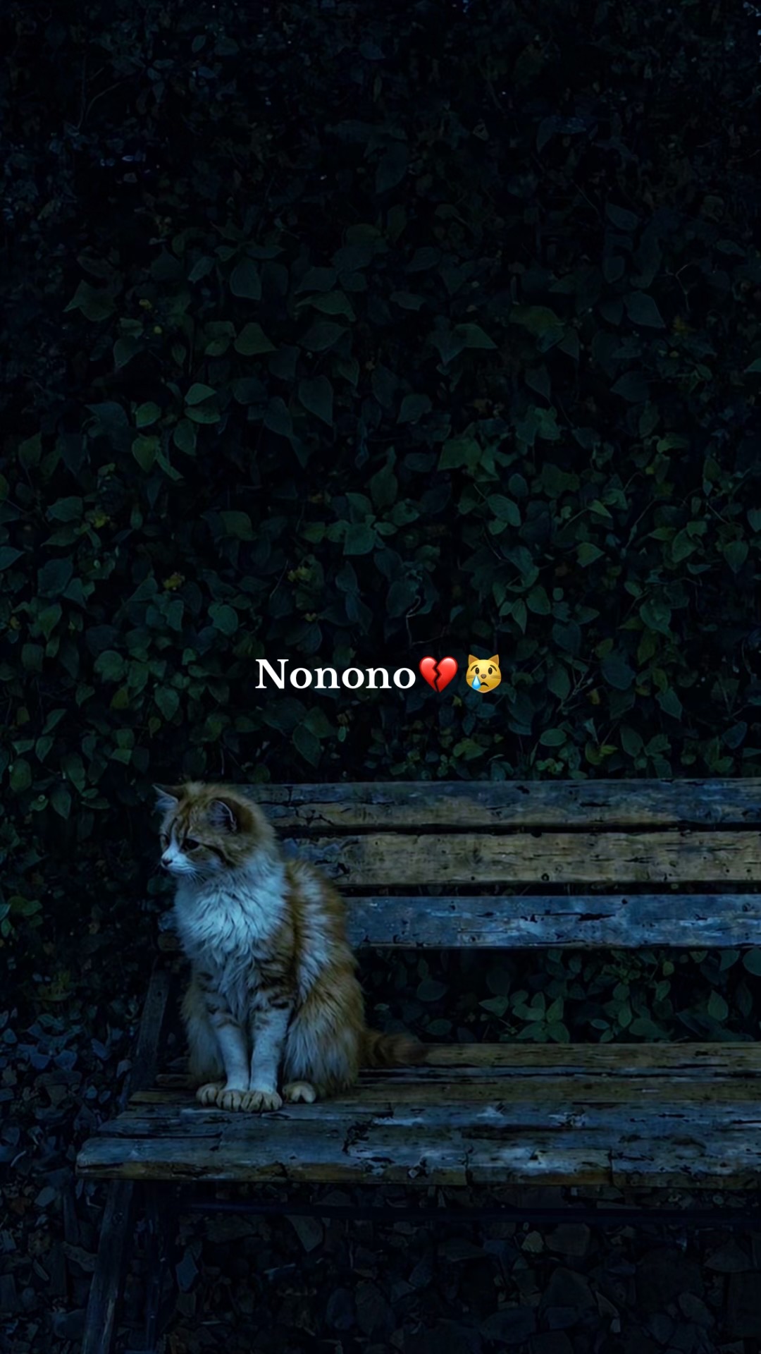 @𝙛𝙧𝙞𝙙𝙪𝙤𝙢  🥀❤️&zwj;🩹