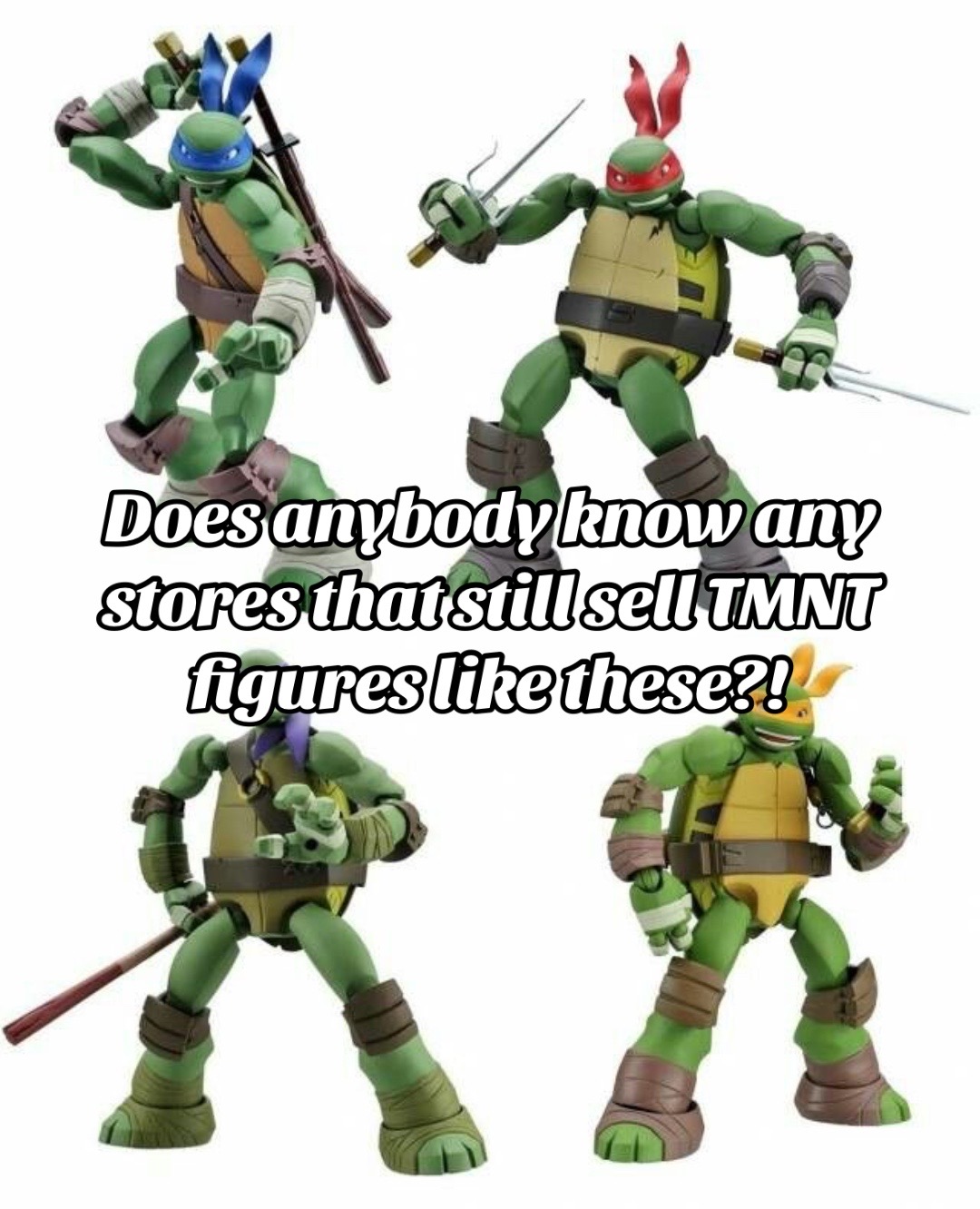 @tmnt.luverrr