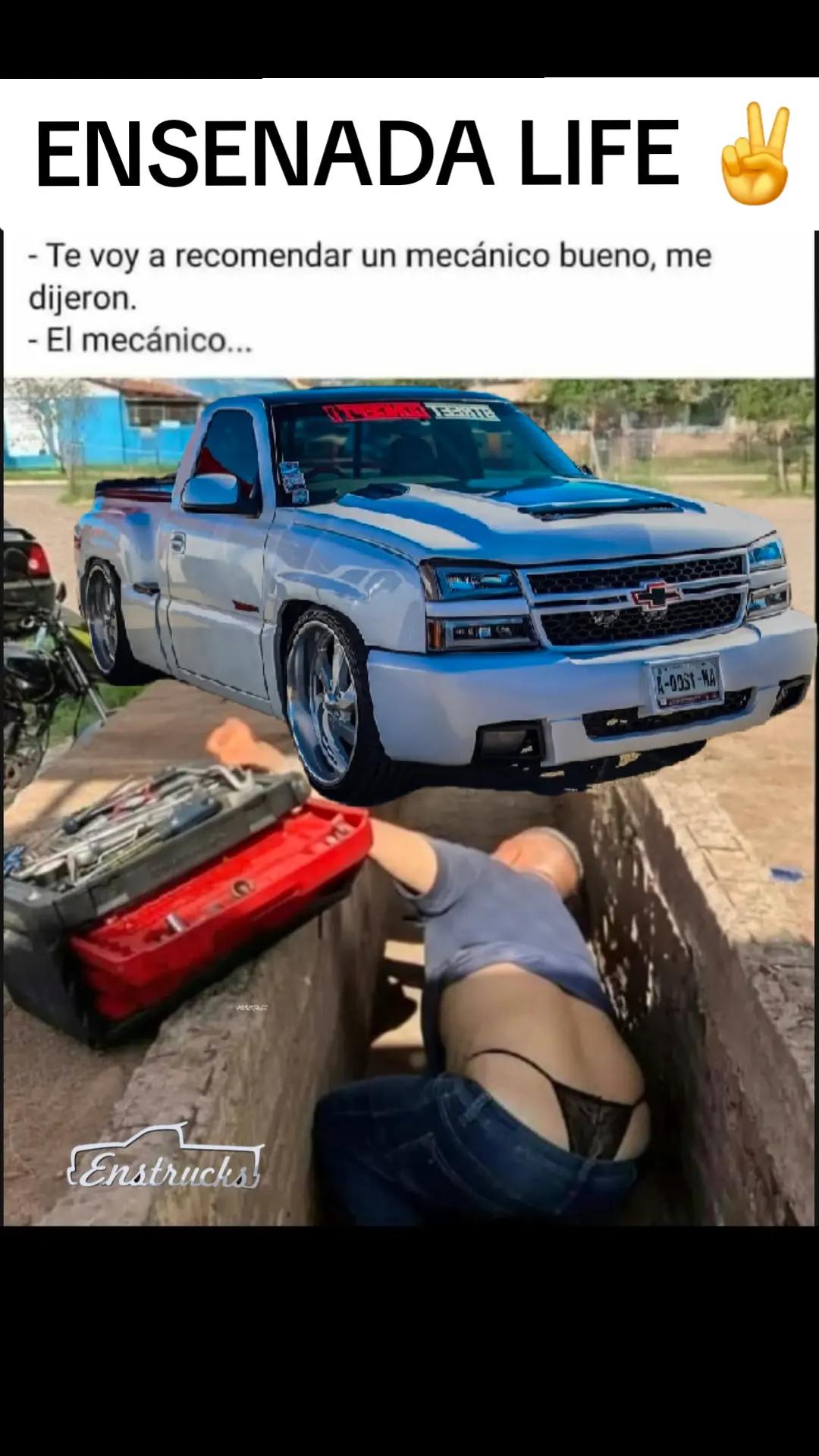 @EL Gallo Salcedo🇲🇽