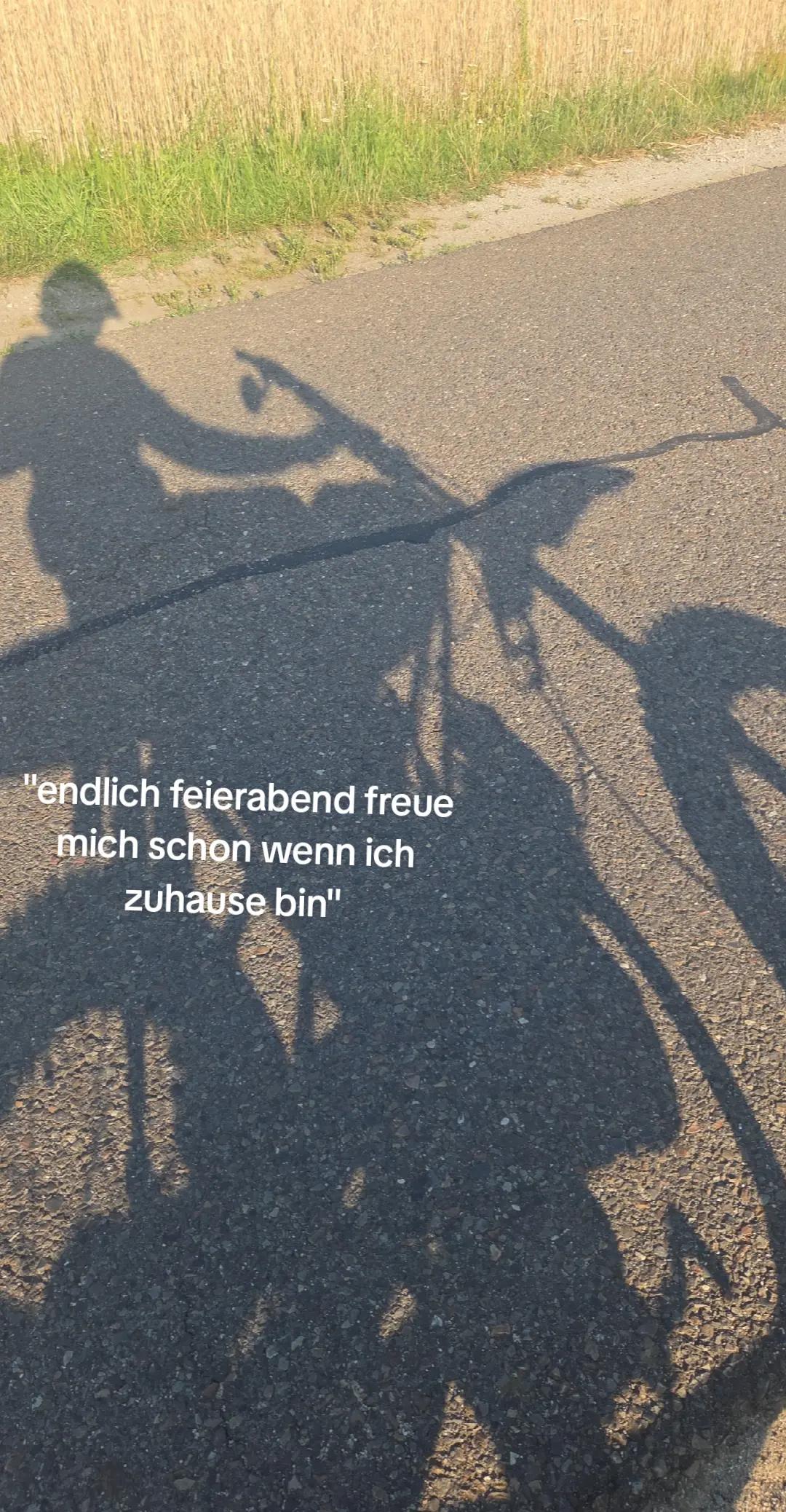 @mopedleon