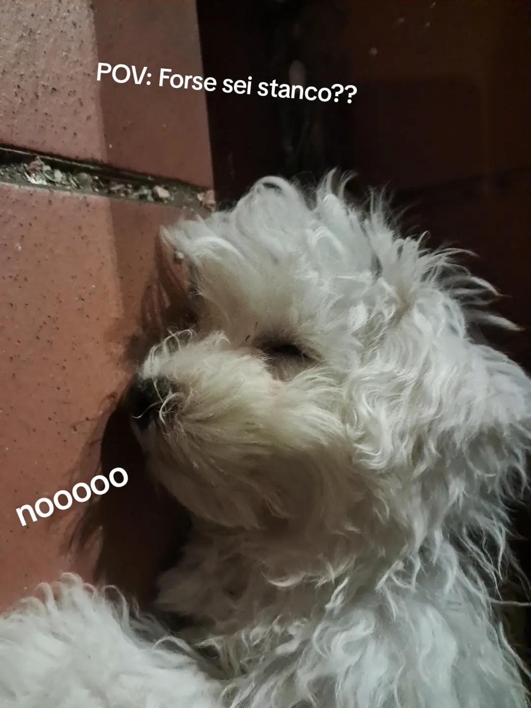 @ioleeeeee