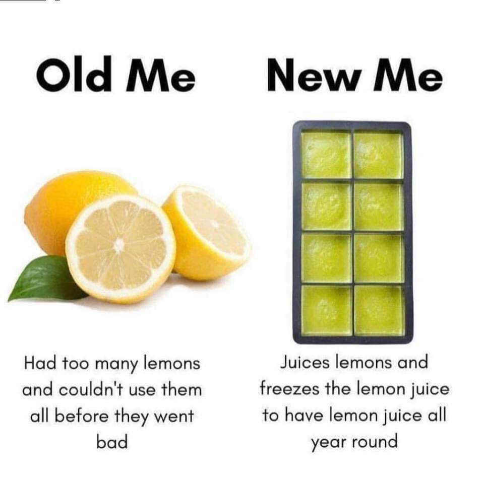 @novelteas.wellness