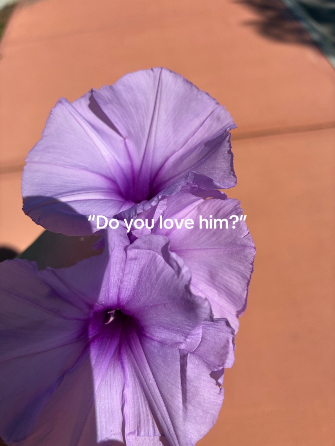 @๐๐๐๐๐๐๐๐