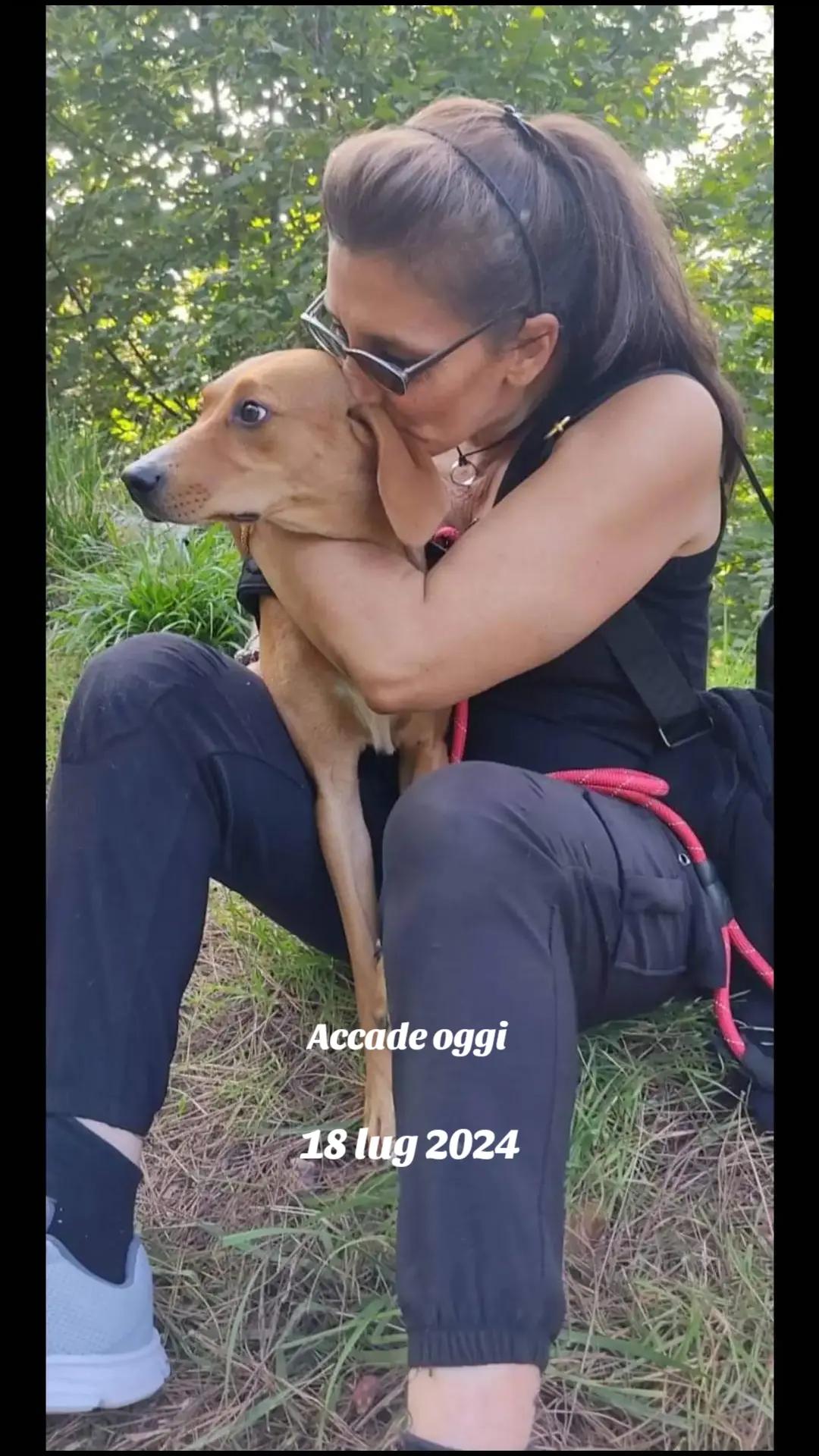 @soniacereghino7