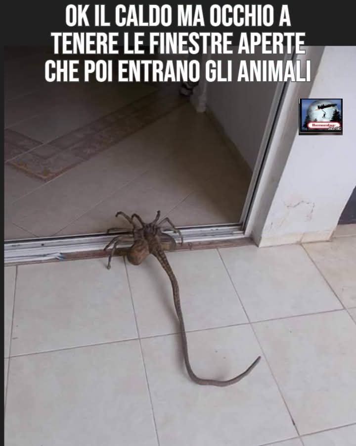 @Jacopo I'taNganetor