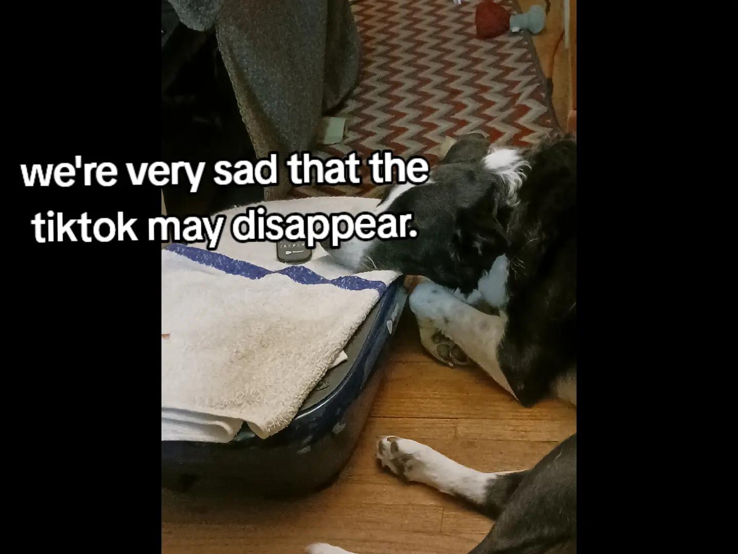 @Lux the Dog at KPPPRadio