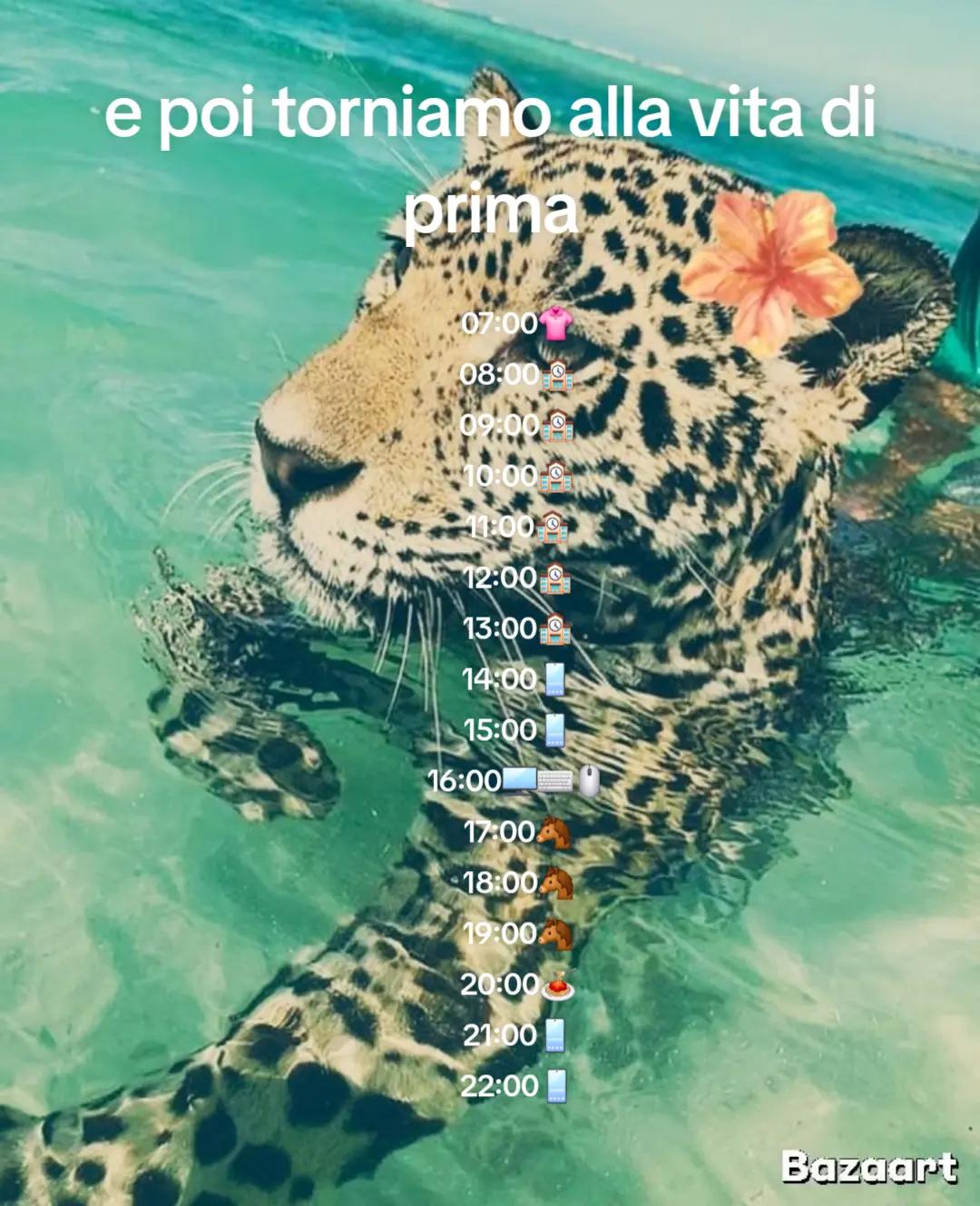 @🌒🥀
