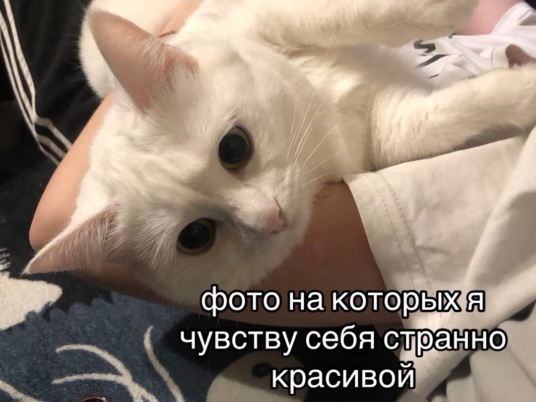 @kyzar