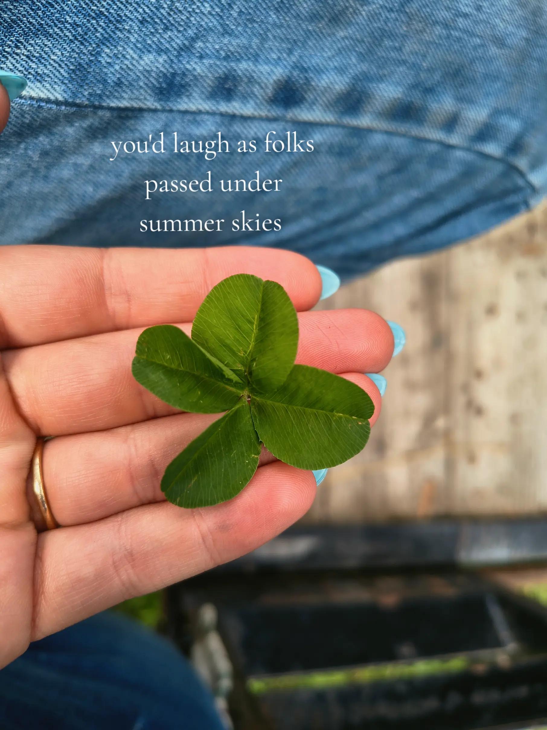 @liv🍀