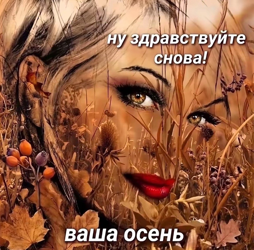 @соня стандоф