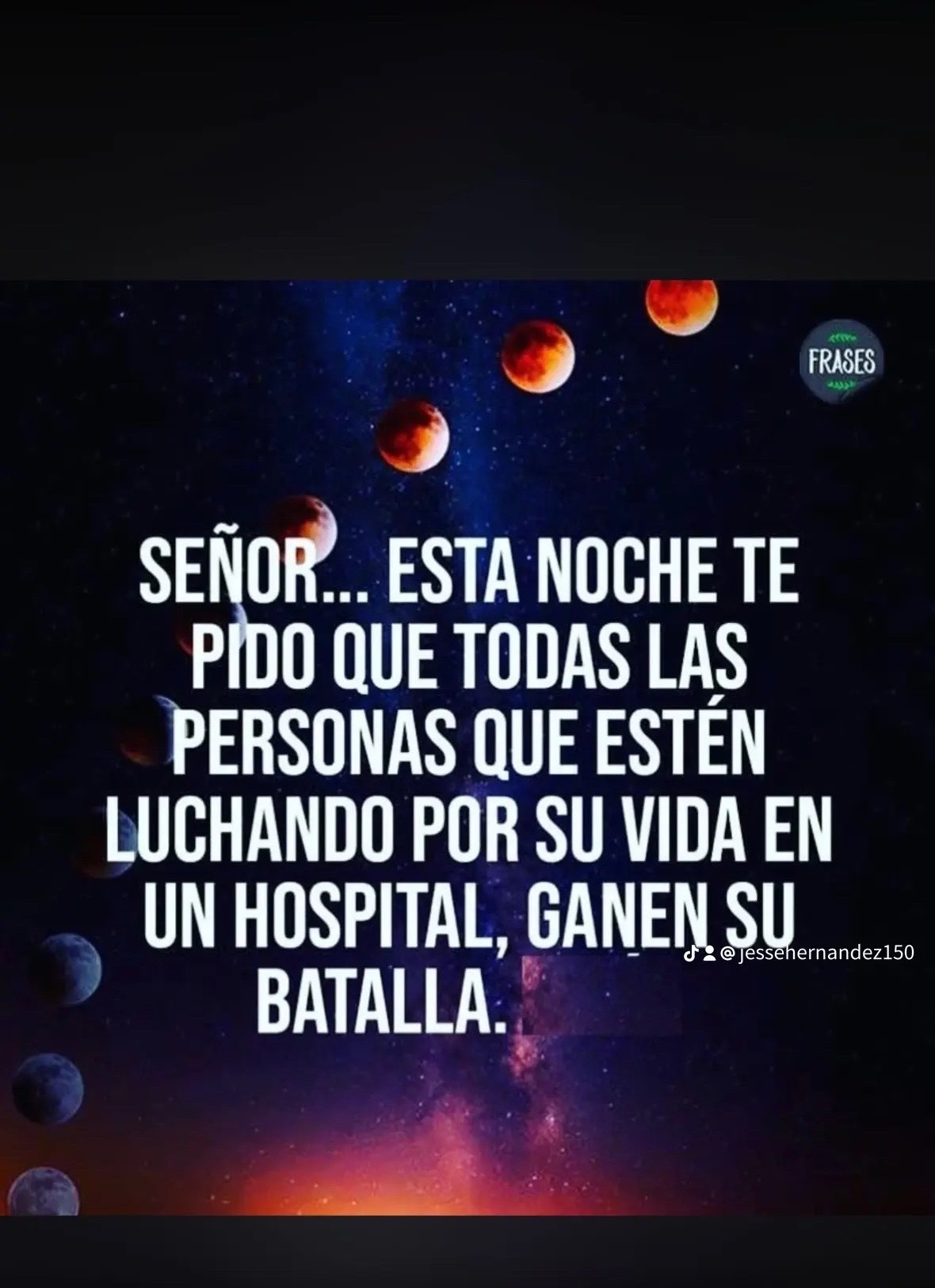 @user9591368235867 el Boxer