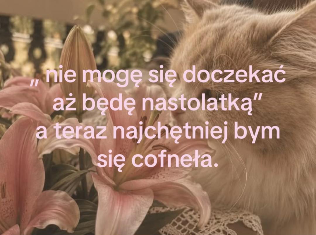 @weronika
