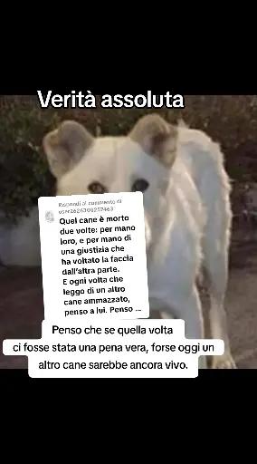@🐿️ Gabriella 🐻🐺