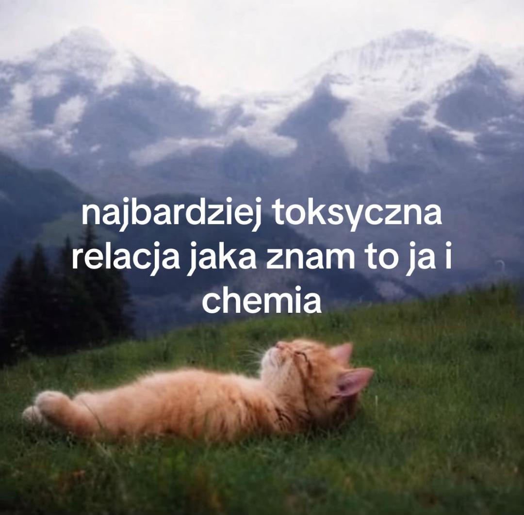 @weronika