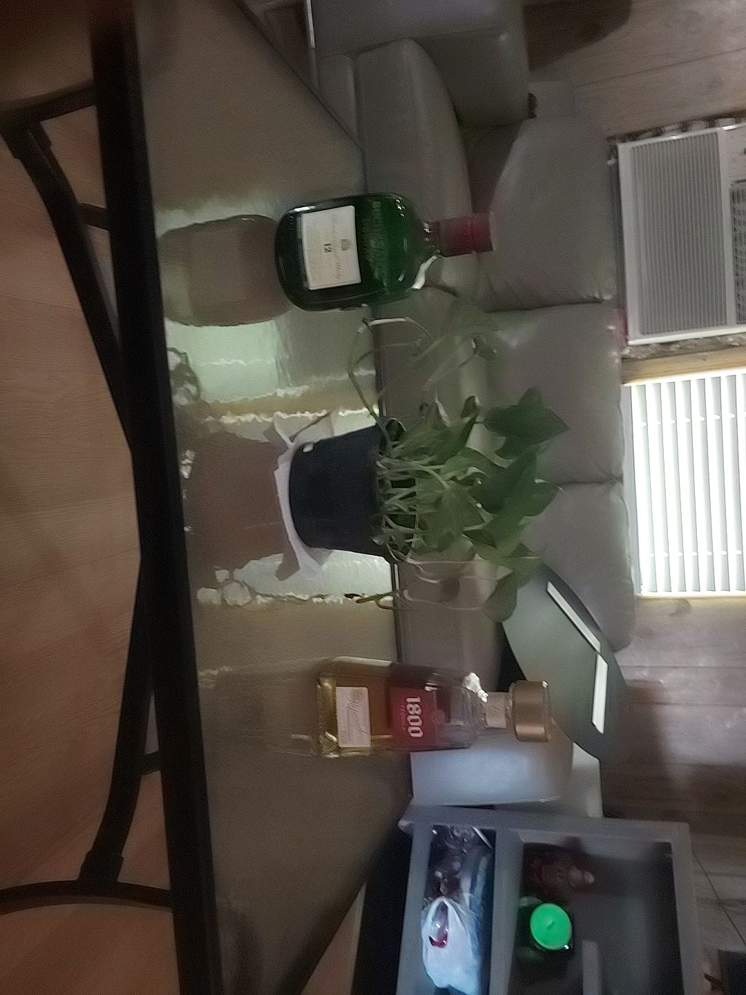 @noelrosashipolito