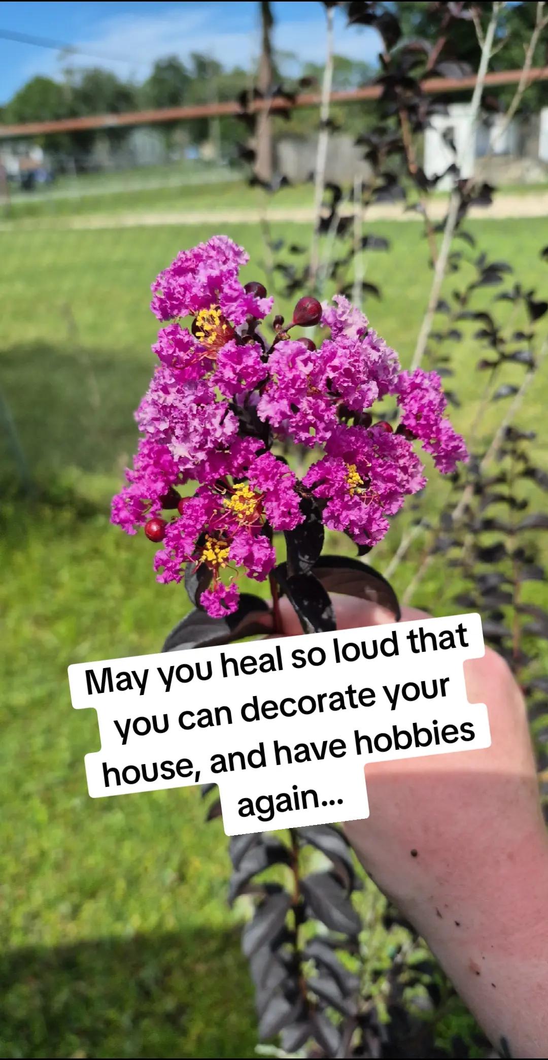 @Momma.before.anything
