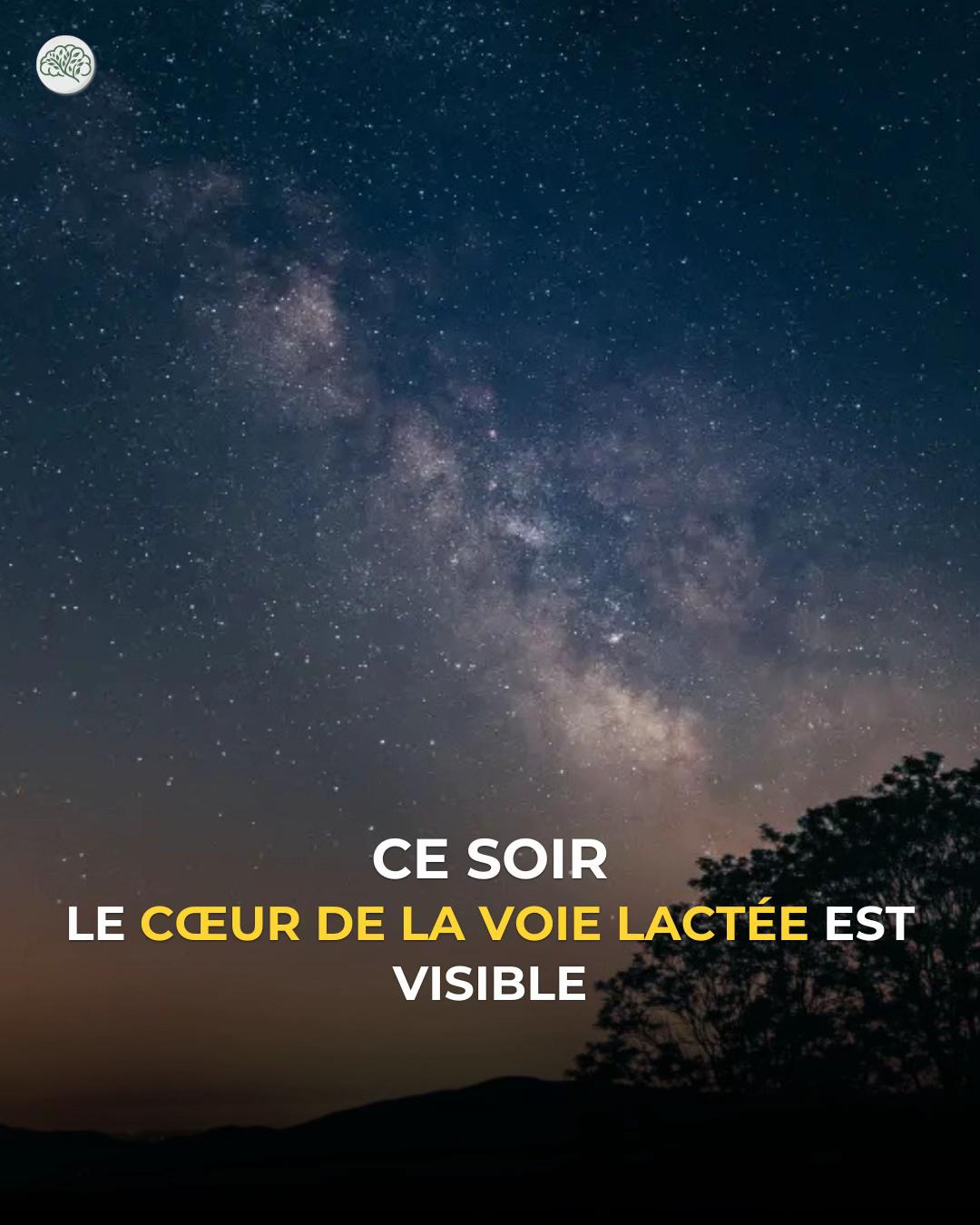 @L&rsquo;arbre du savoir 🌳