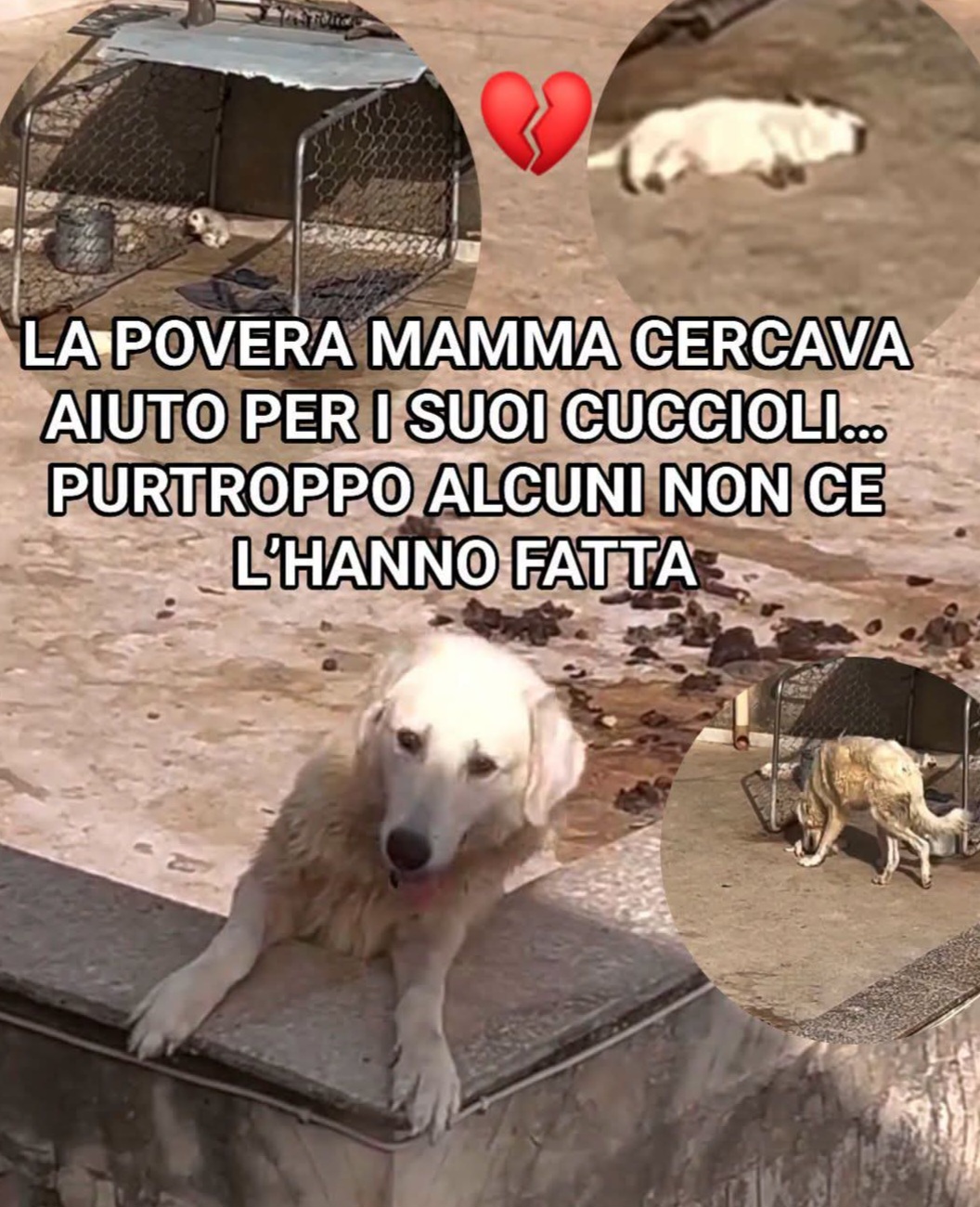 @marianna