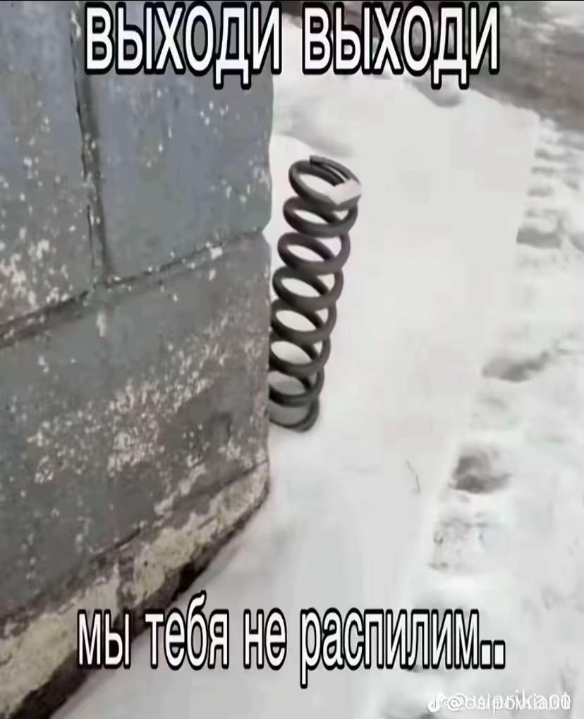 @Алеее киски городе