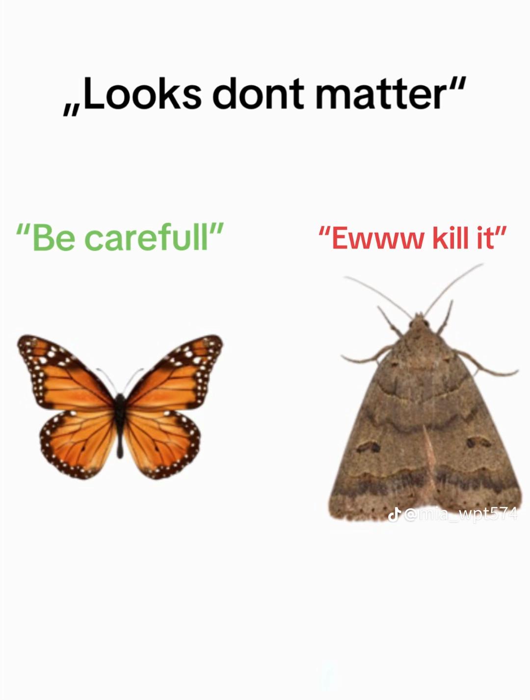 @Nature Enjoyer