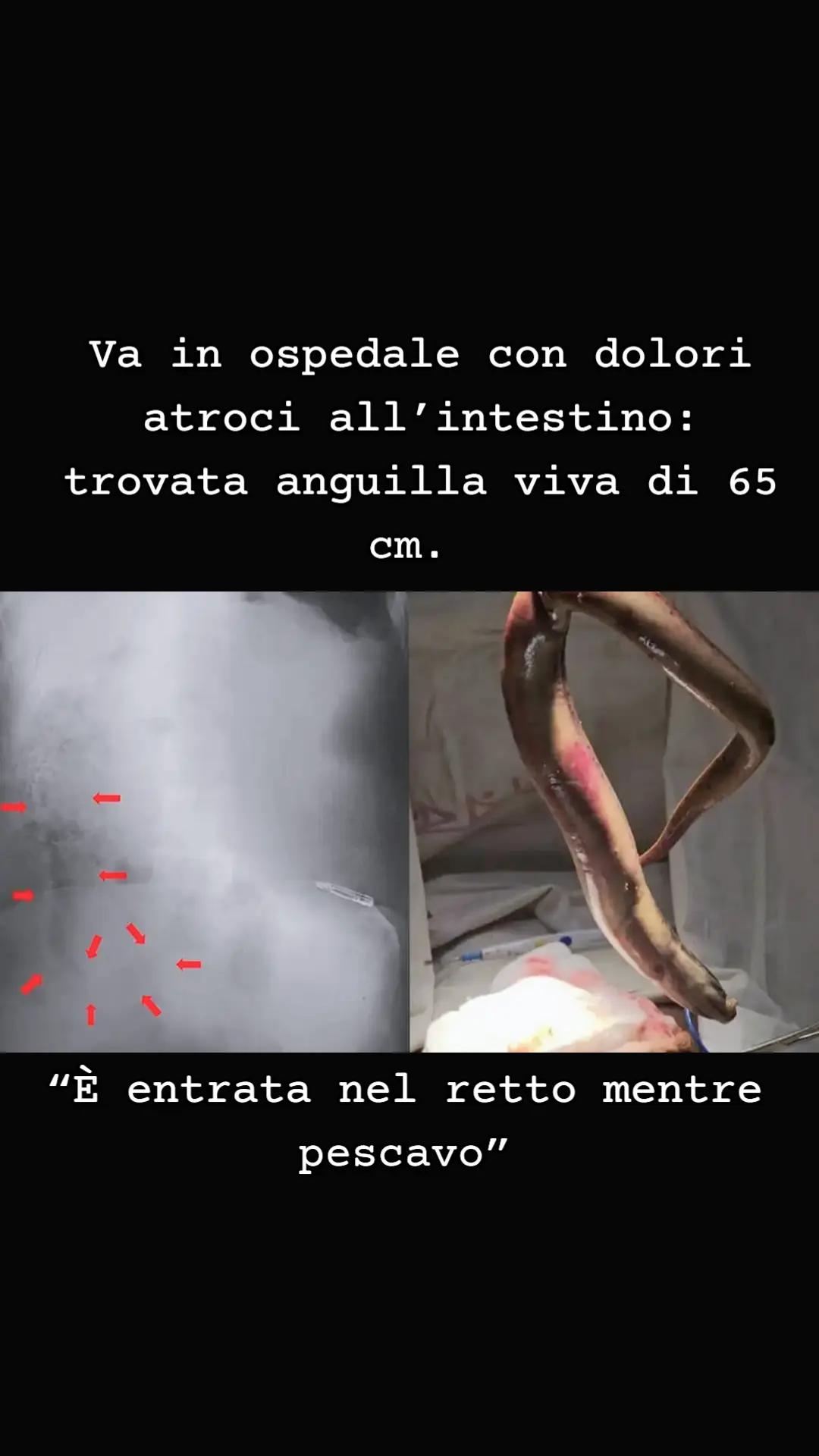 @RadioNetworkItalia2