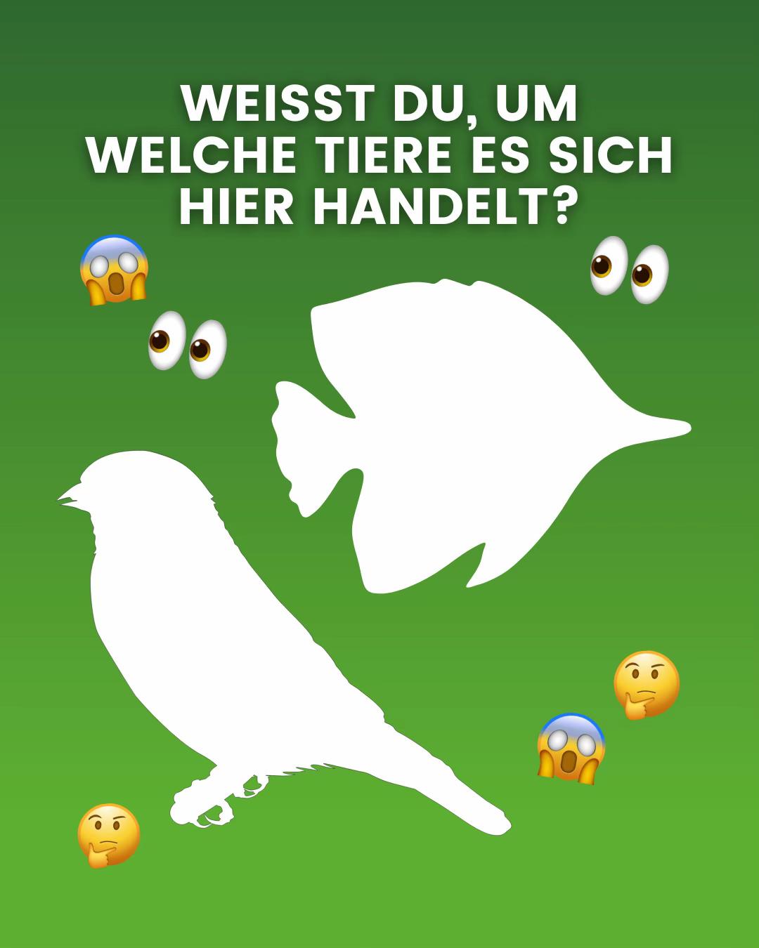 @Biosphäre Potsdam