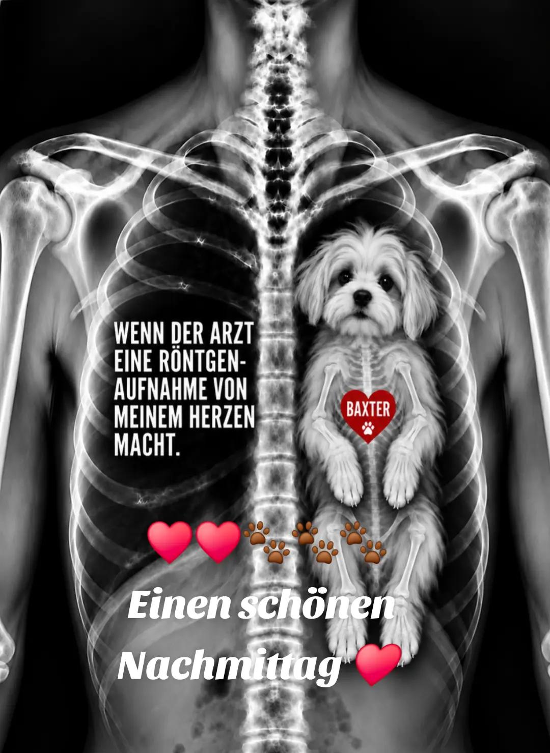 @Sonnenschein76🌞♥️