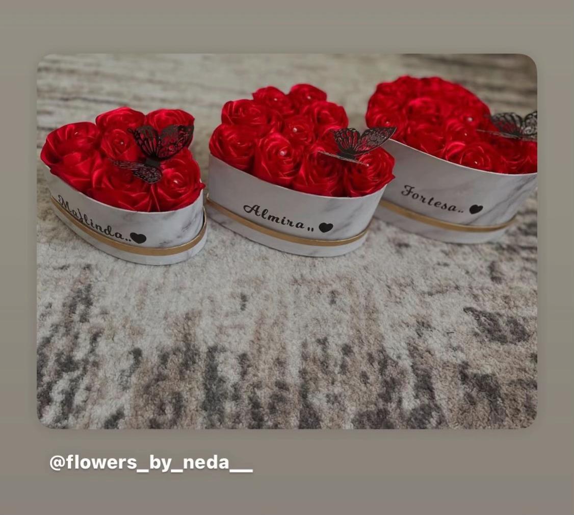 @flower_by_neda_ Germany