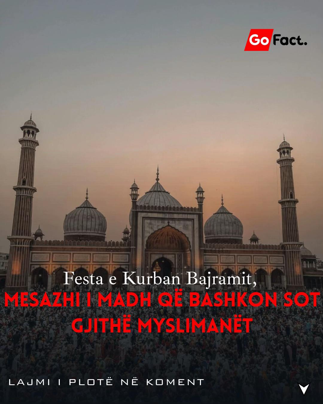 @gofact.news
