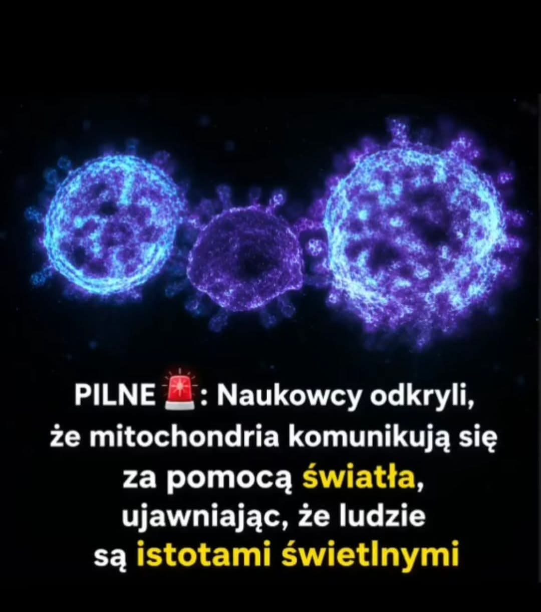 @MiłośćŚwiadomośćPrawda