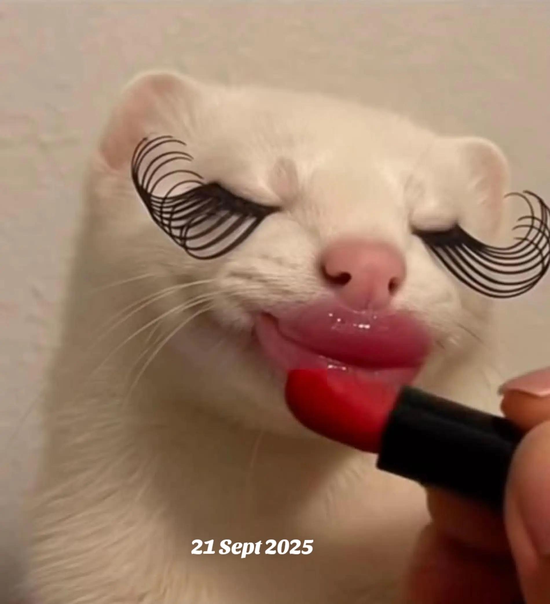 @happy đżđťđŚ