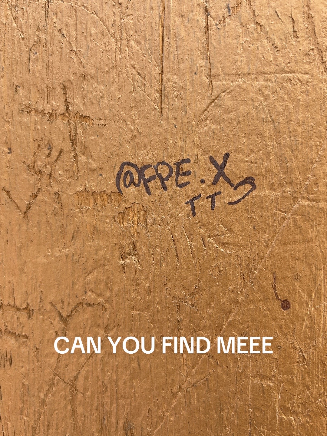 @fpe.x ⊬