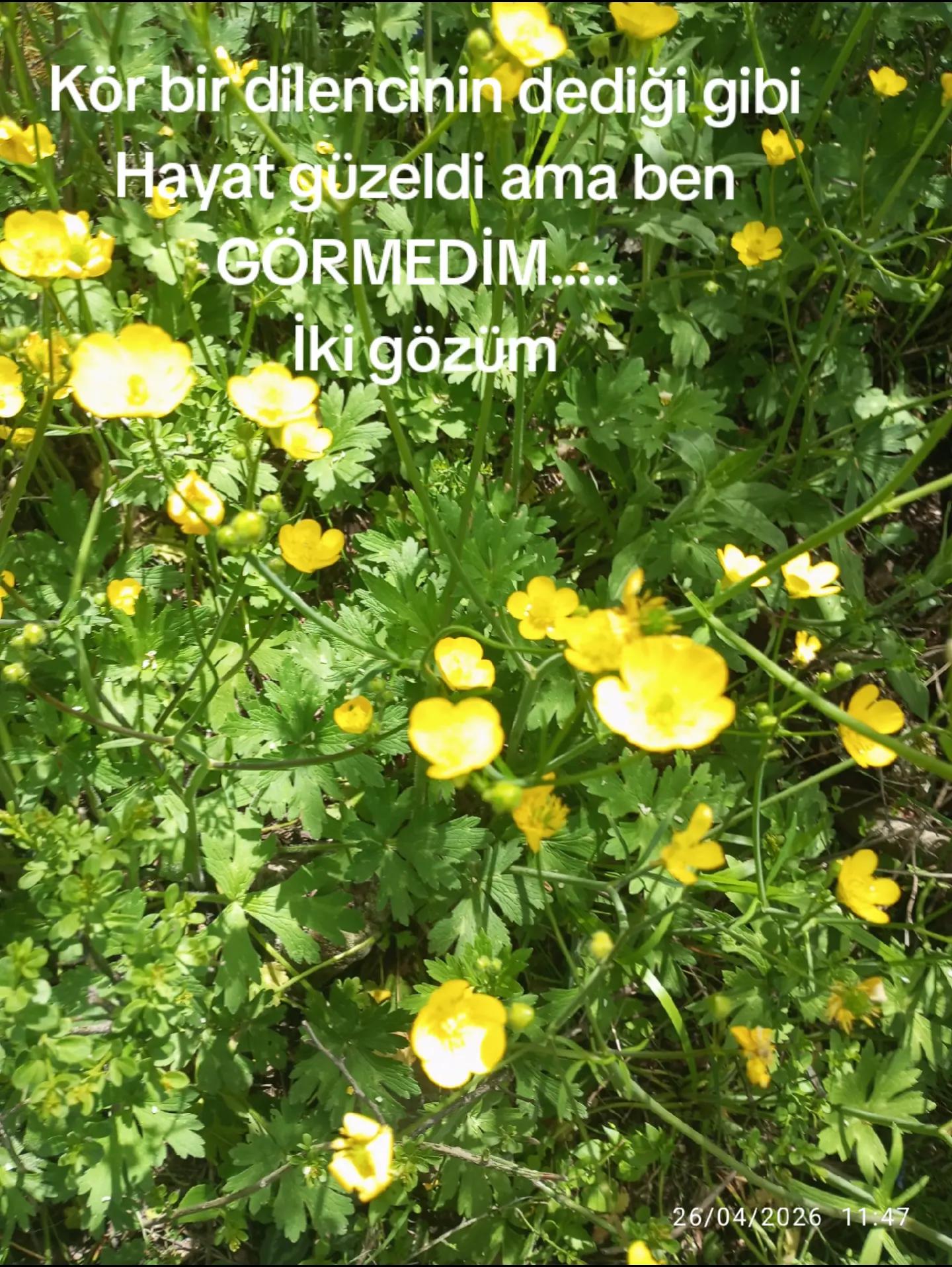 @Zübeyde karakaş 💜💙❤🩵