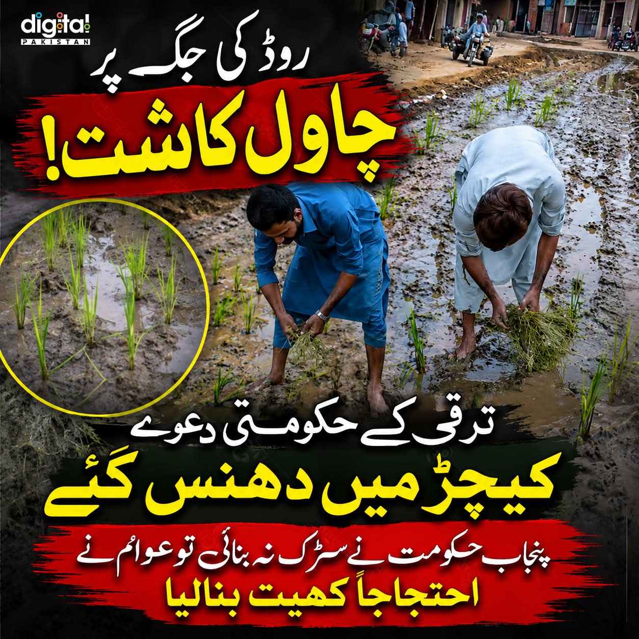 @Majid279h🇵🇰🇵🇰❤️