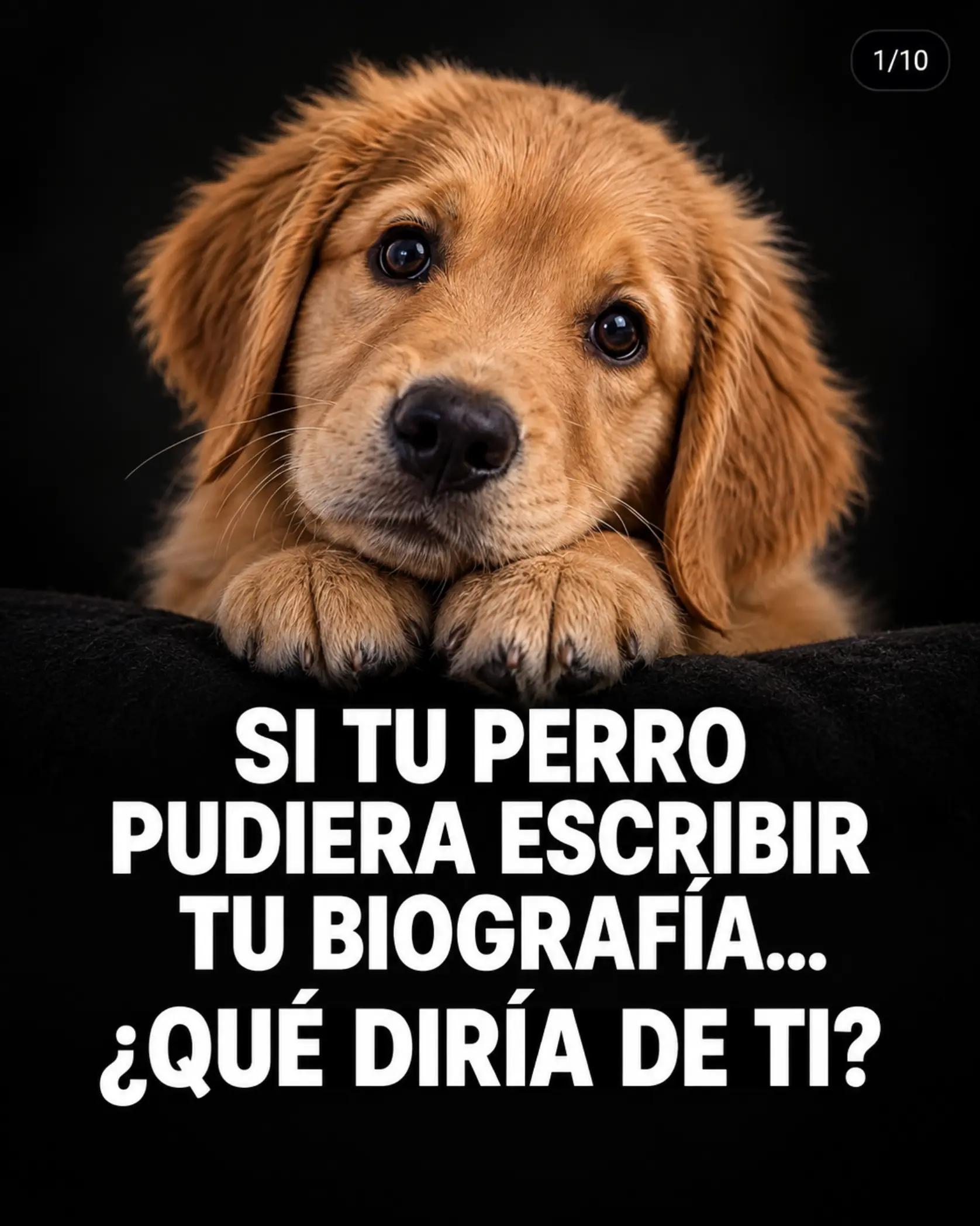 @Pancho Cavero