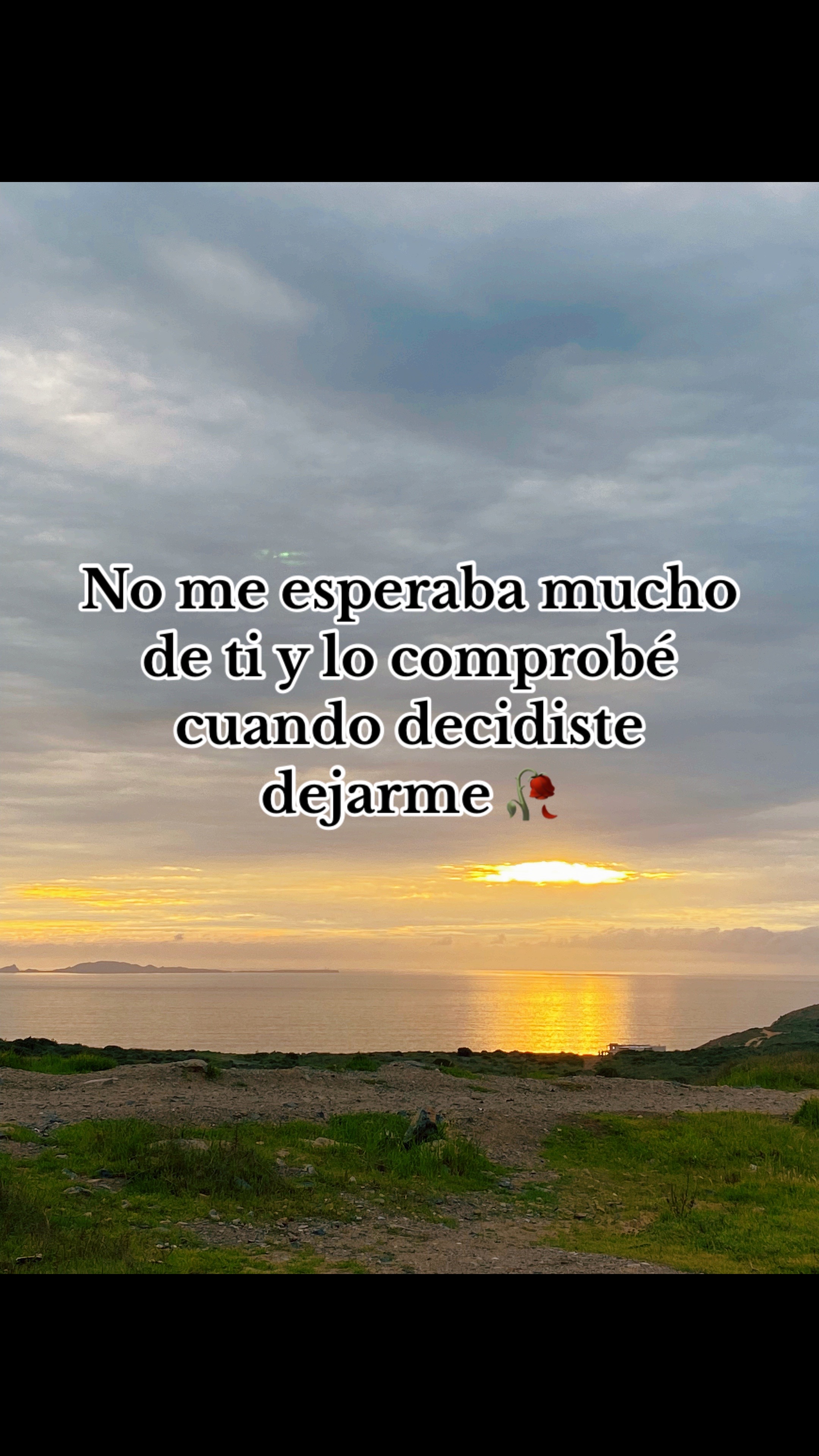 @Anely Jade