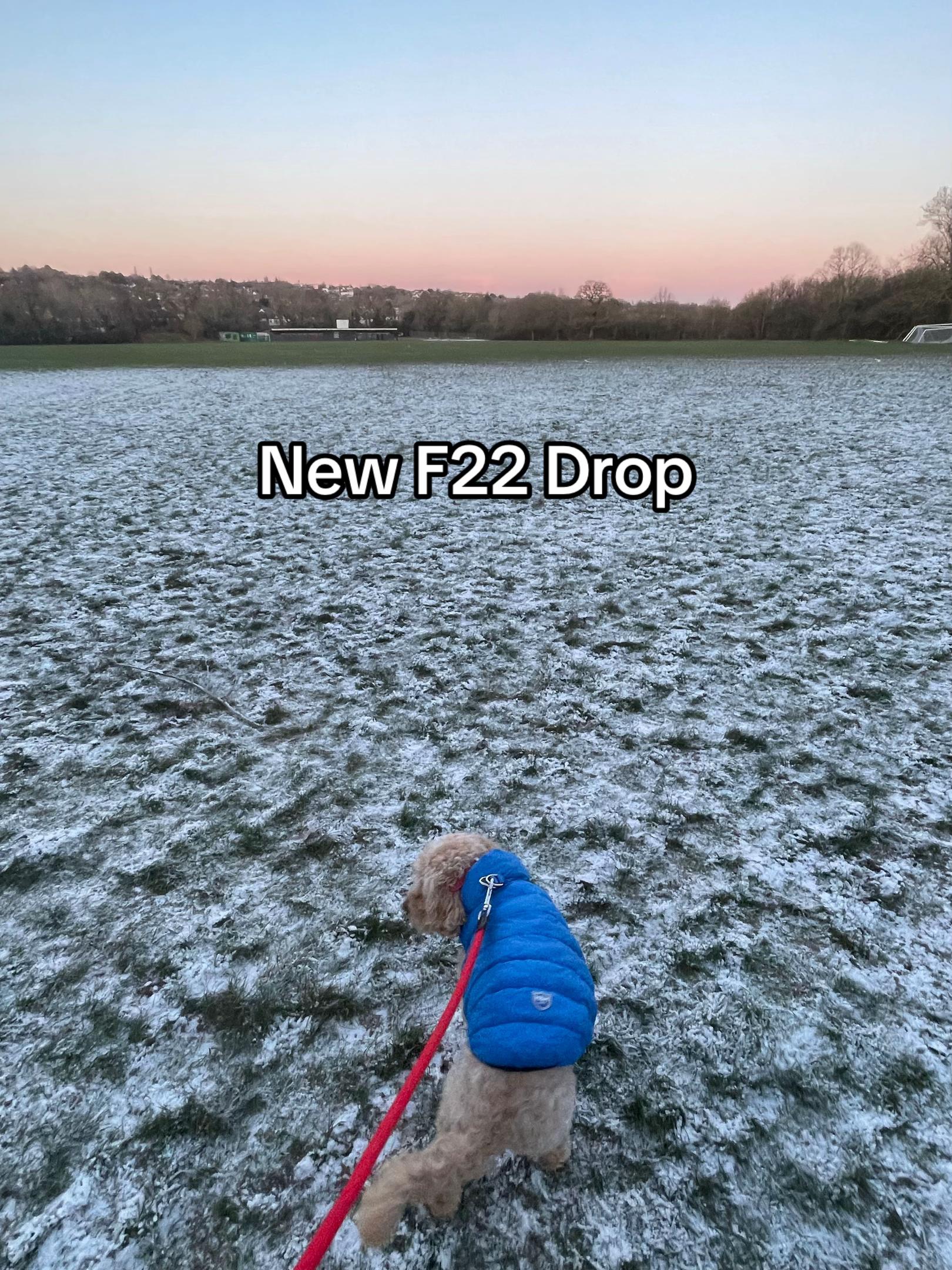 @[F22 LDN]