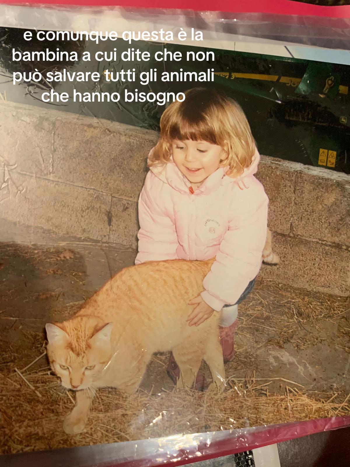 @Elena