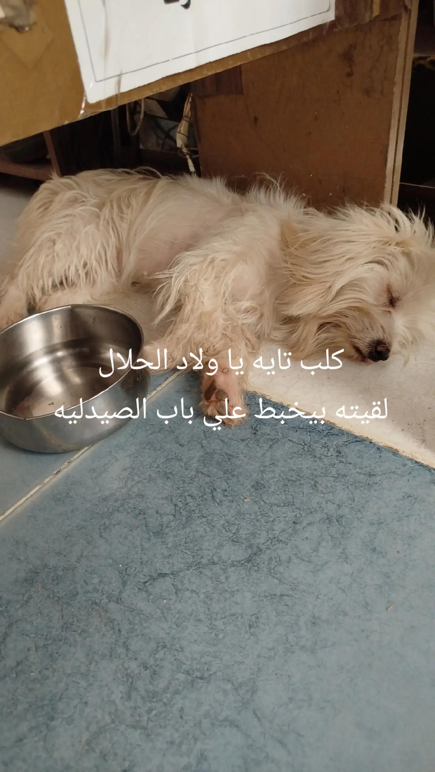@☑️Dr MAGDY💫