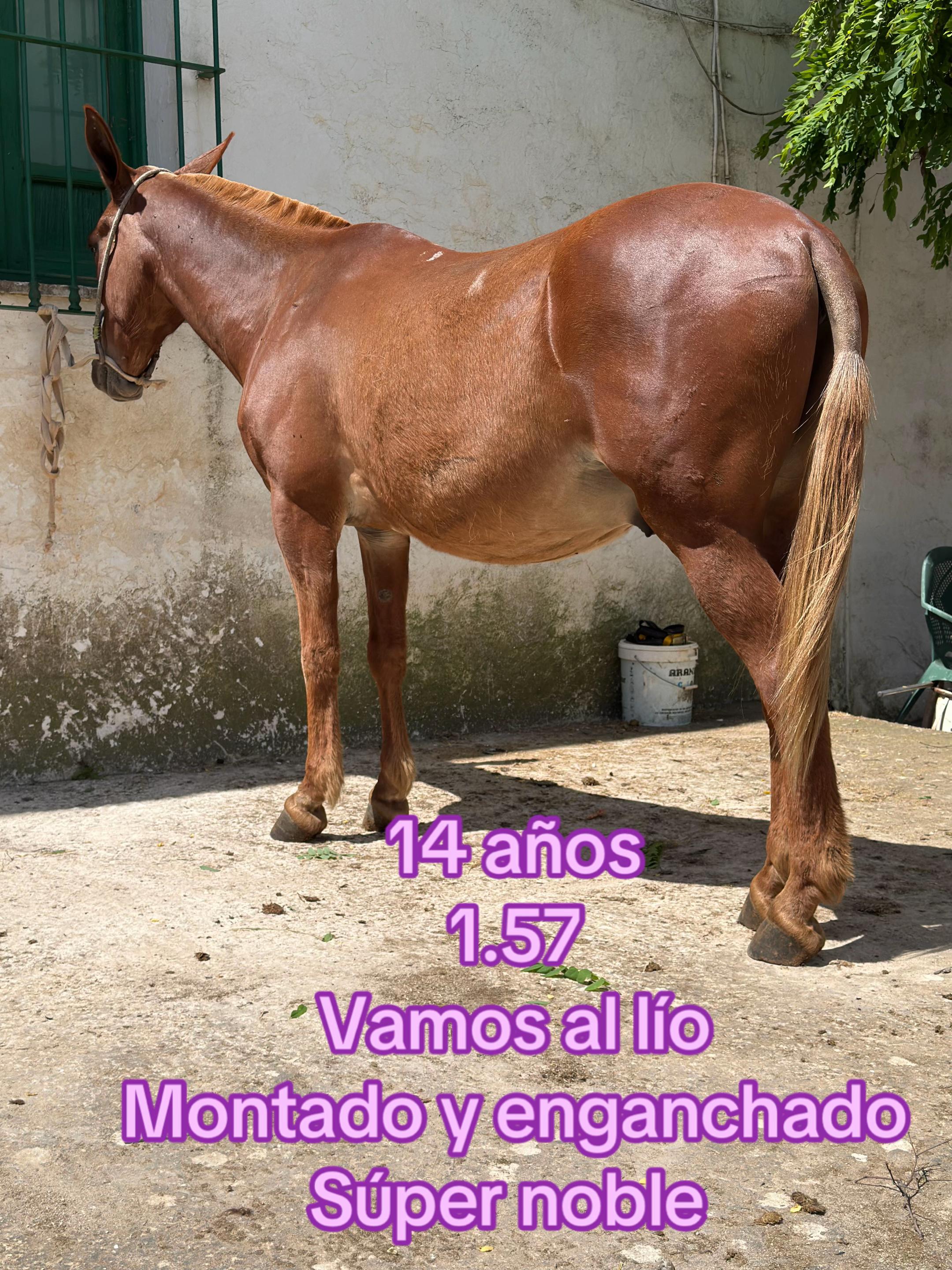 @María del pilar