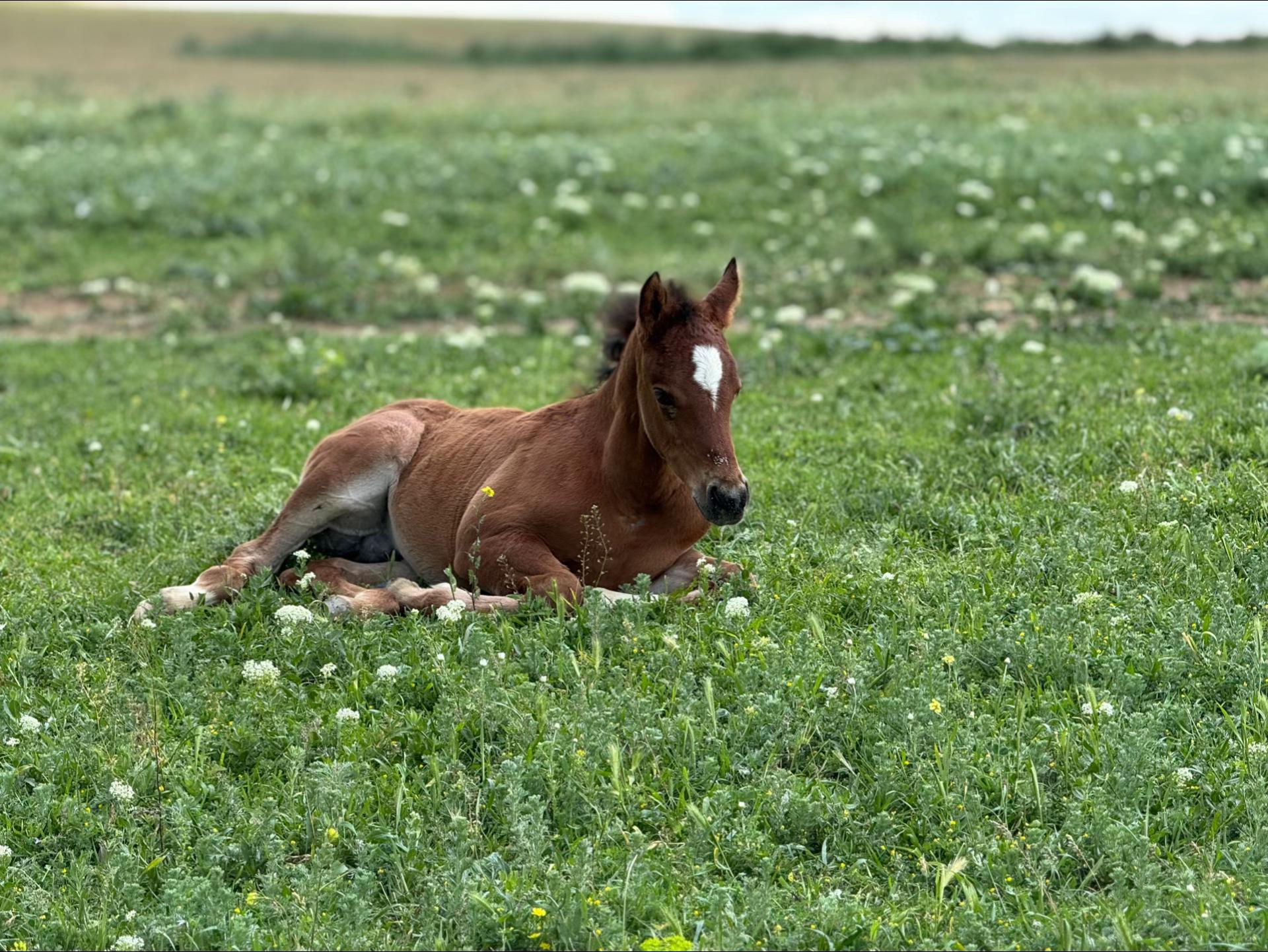 @MakvinStud