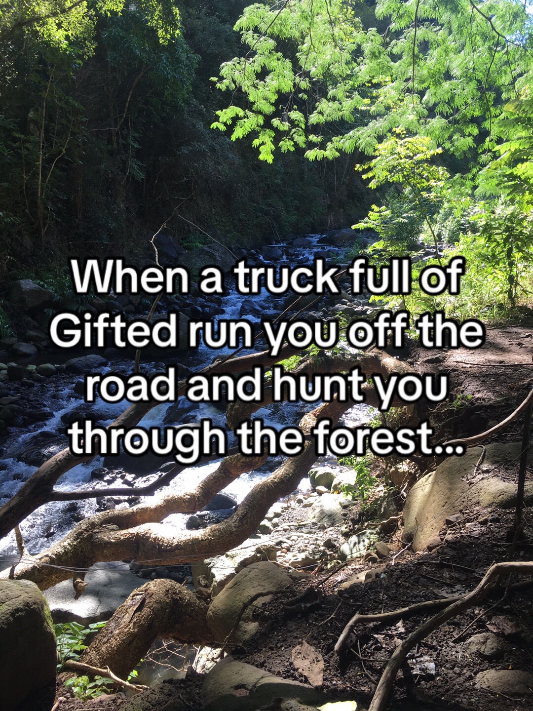 @Giftedverse