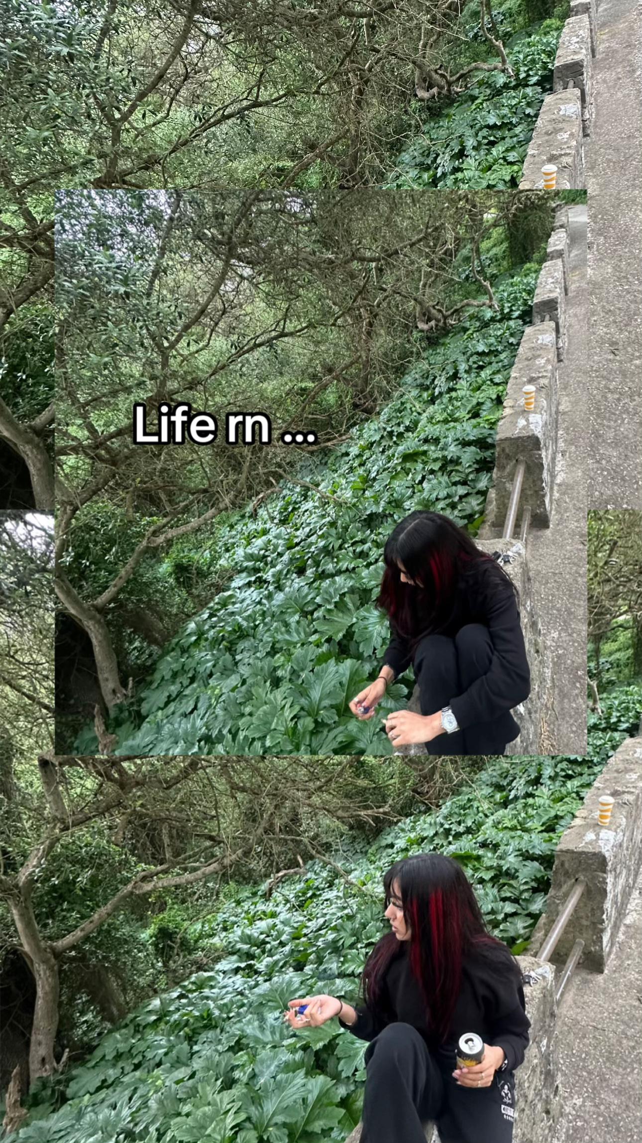 @Hachi𒉭