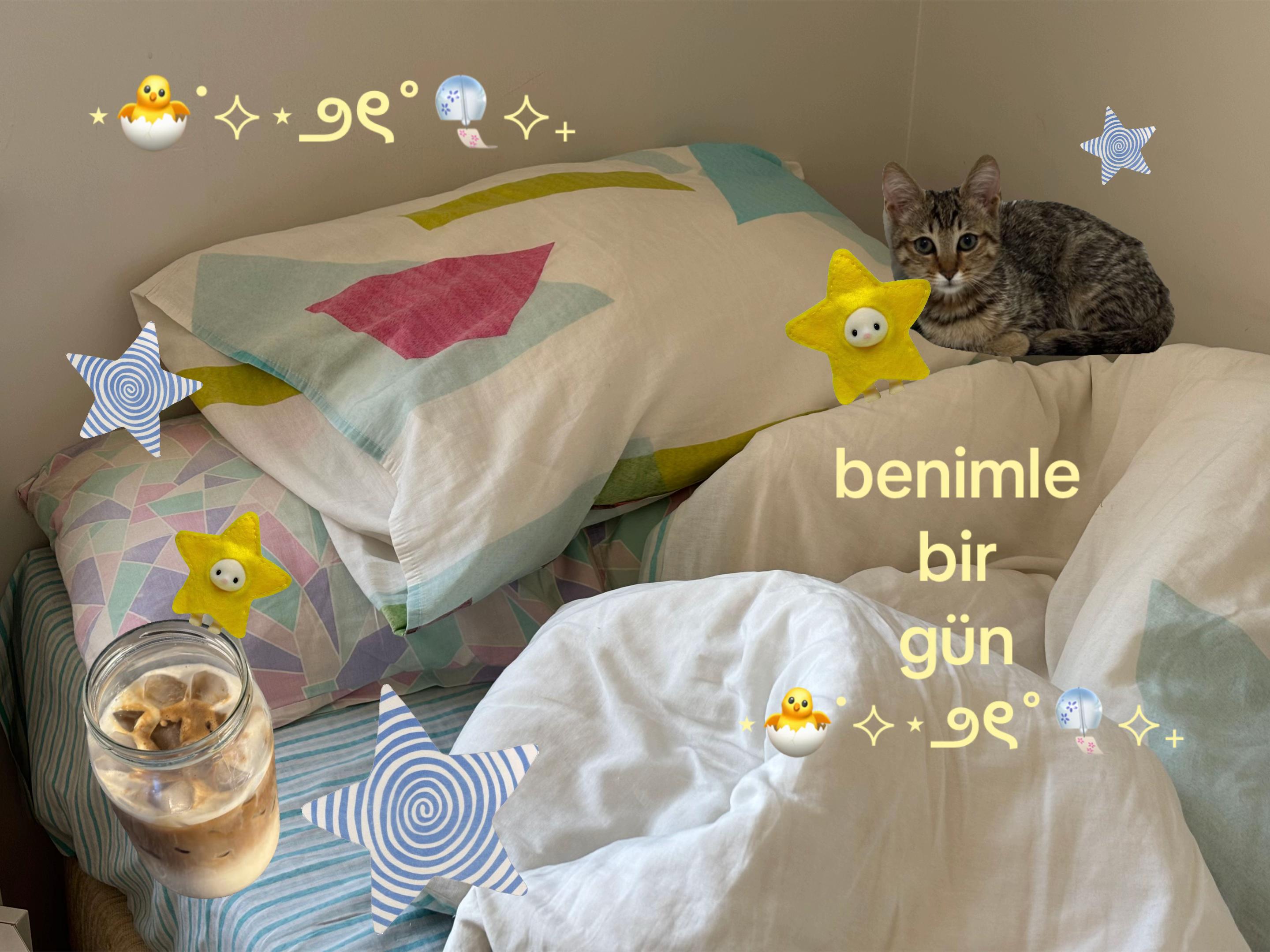 @bloguzi⋆˚꩜｡