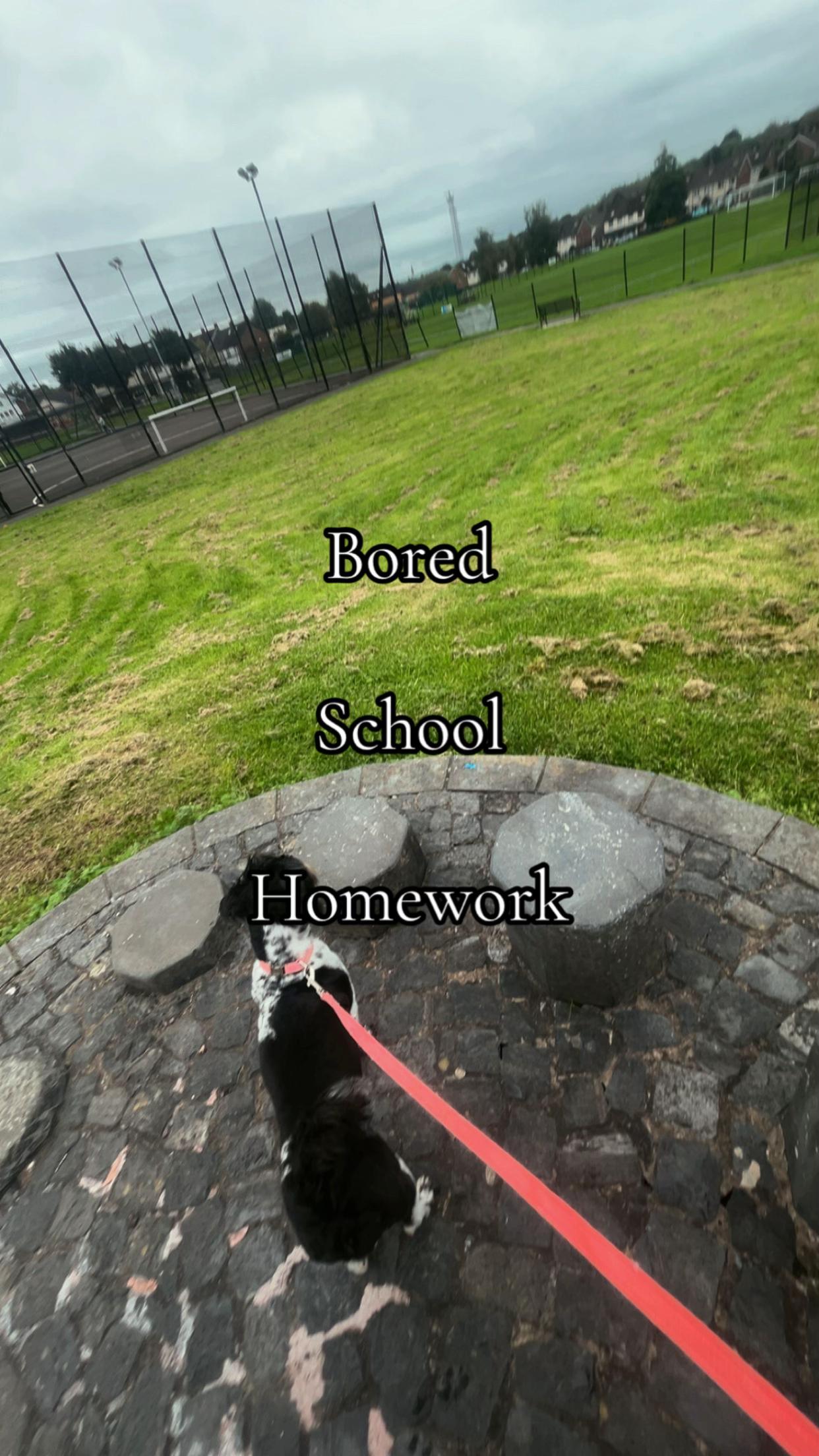 @T O N Y