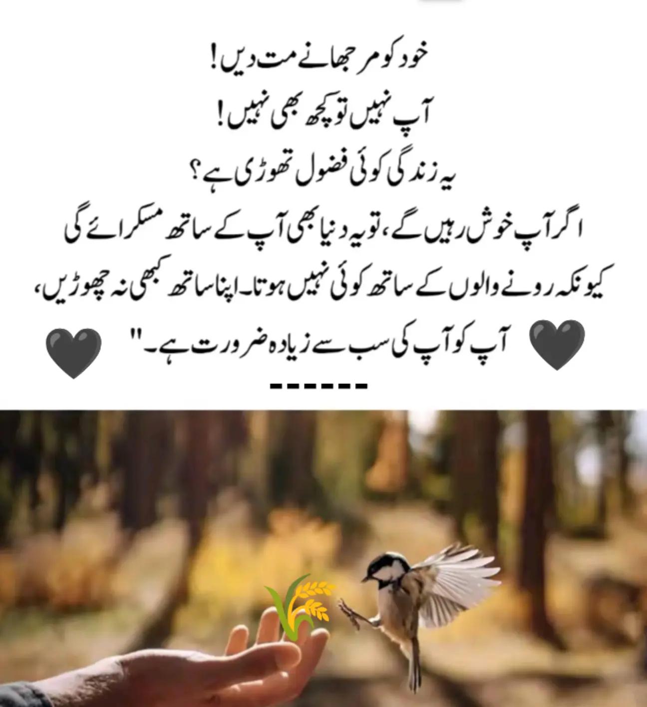 @ZAIN_89🖤