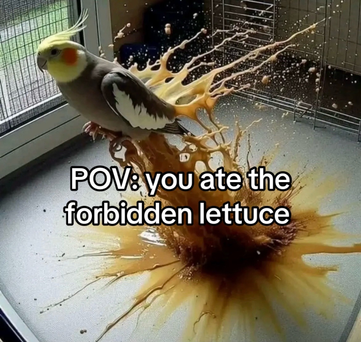 @Xan